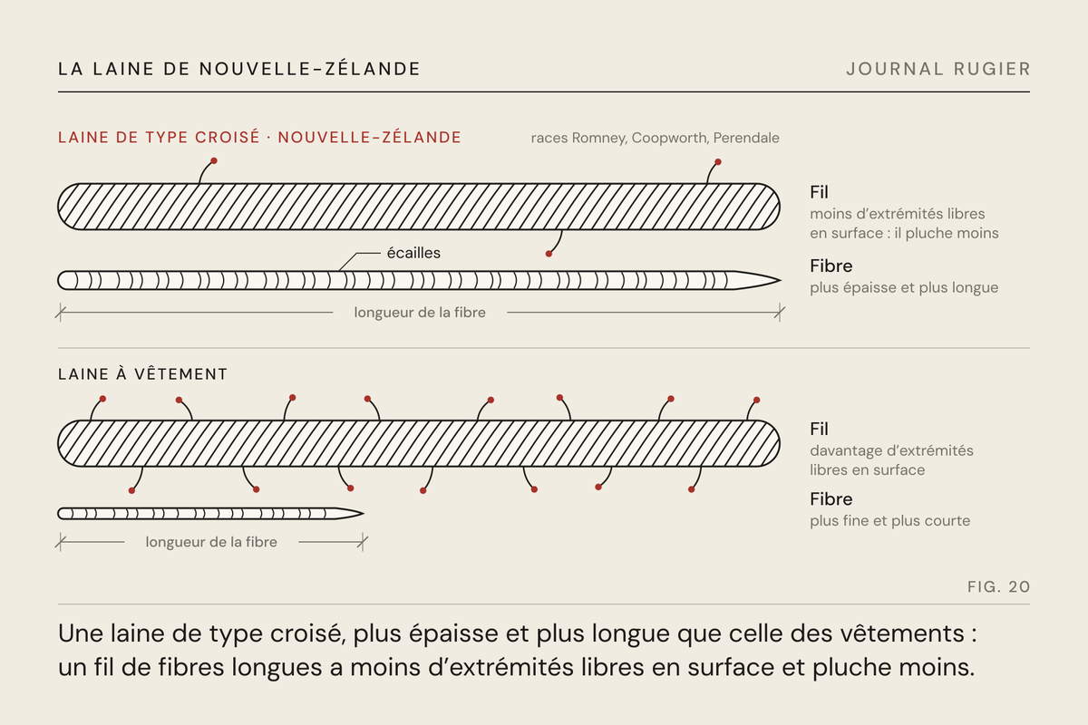Planche du Journal Rugier, fig. 20 : deux fils comparés : la laine de type croisé, plus longue, laisse moins d’extrémités libres