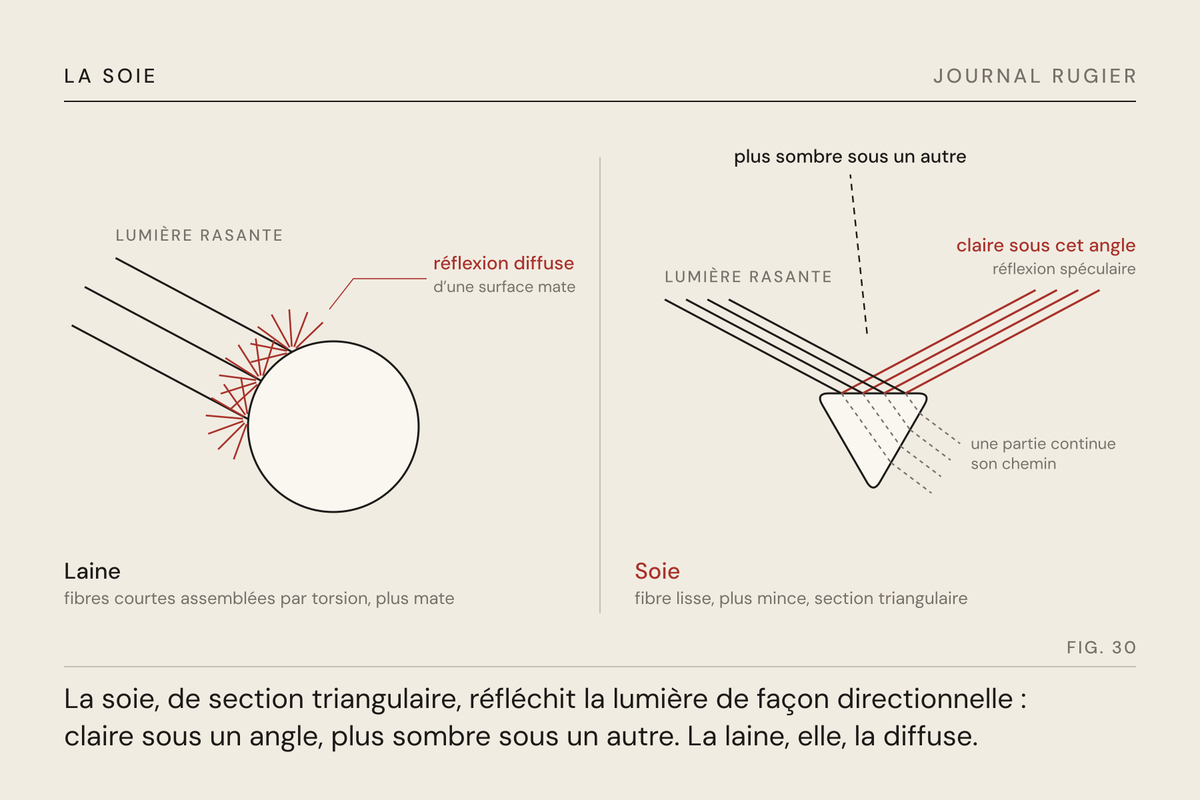 Planche du Journal Rugier, fig. 30 : la même lumière rasante sur deux fibres : la laine la diffuse, la soie la renvoie